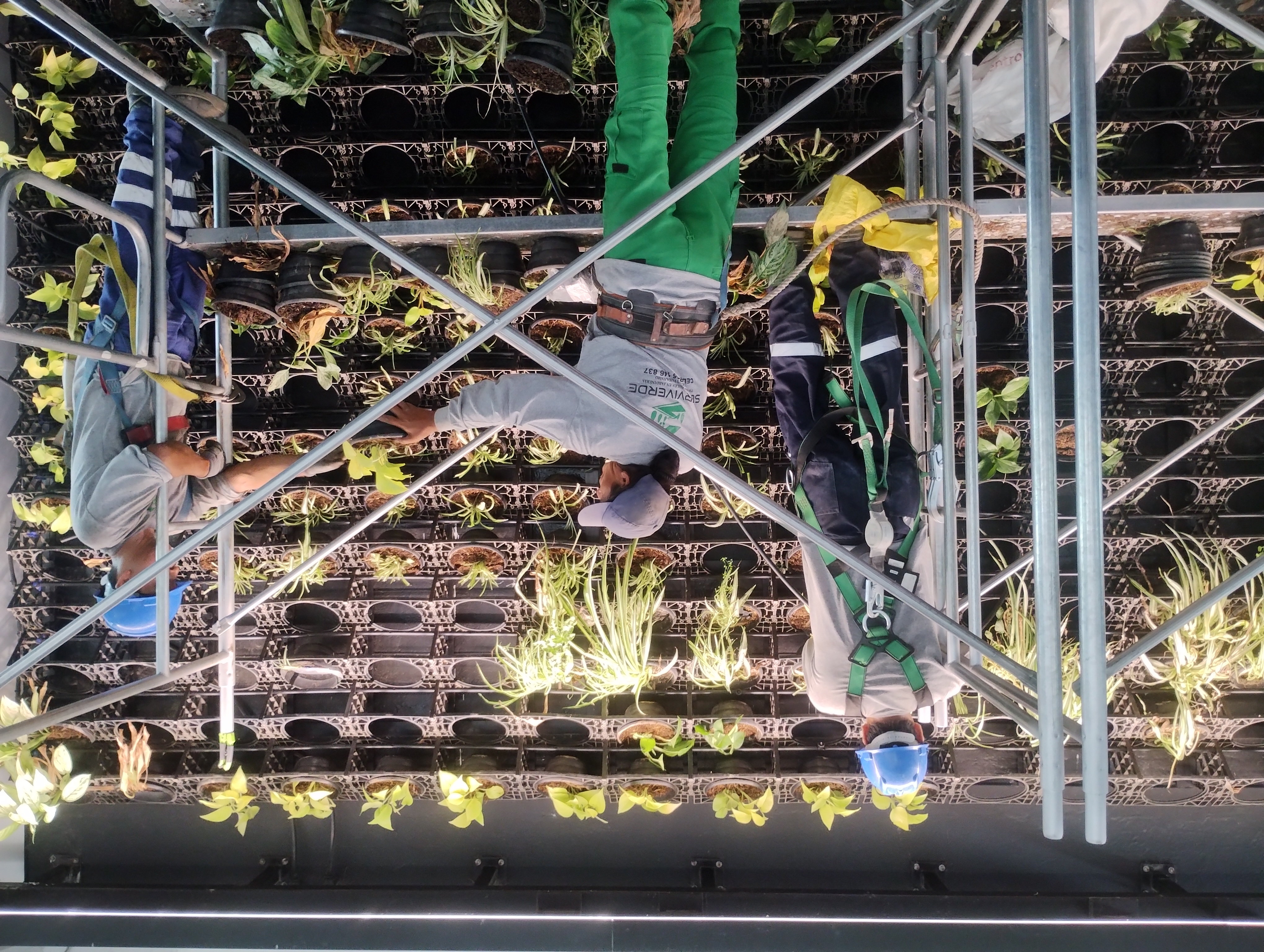 JARDINES VERTICALES